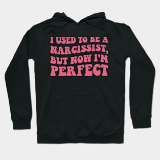 I used to be a Narcissist, but now I'm perfect Funny Joke Hoodie